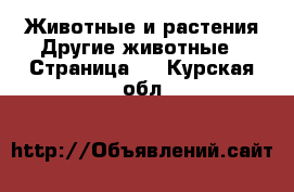 Животные и растения Другие животные - Страница 3 . Курская обл.